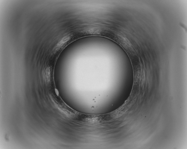 X0000098020120200804071403