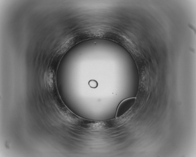 X0000098020122200804071403