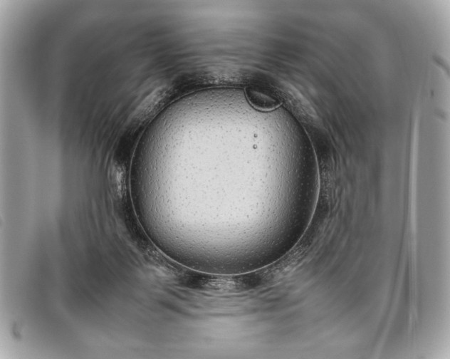 X0000098020123200804071403