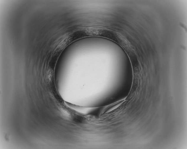 X0000098020125200804071403