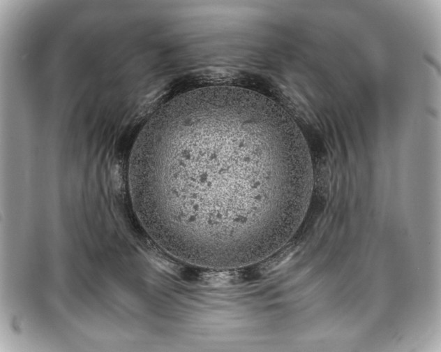 X0000098020131200804071403