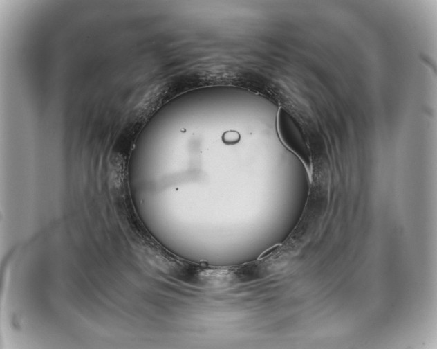 X0000098020133200804071403