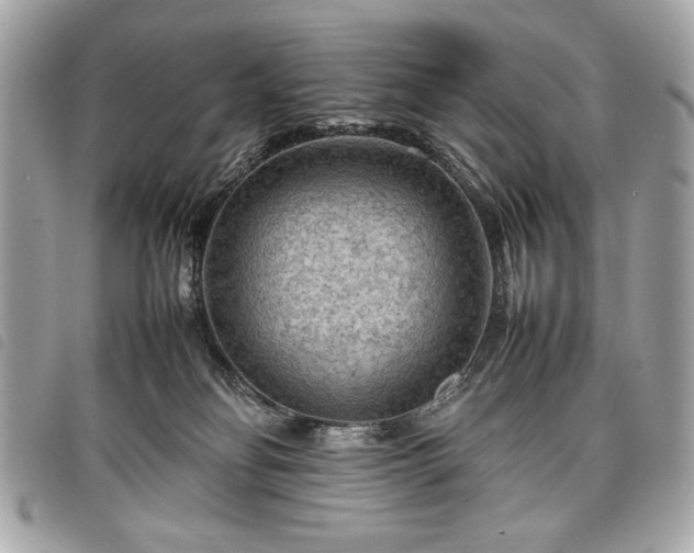 X0000098020134200804071403