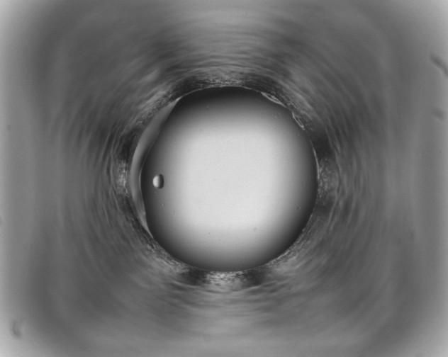 X0000098020141200804071402