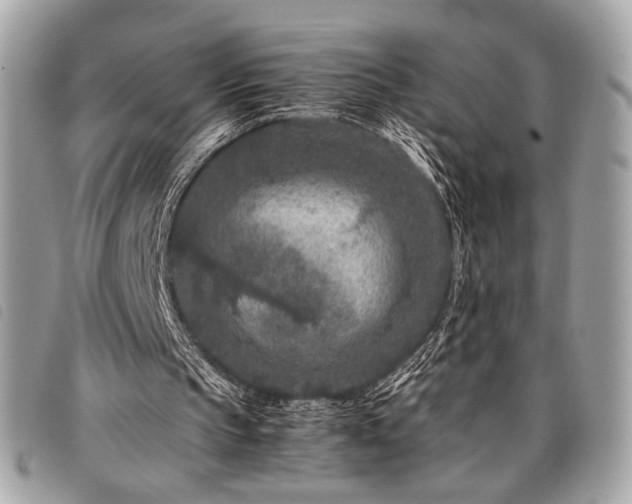 X0000098020145200804071402