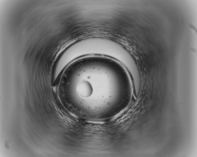 X0000098020146200804071402