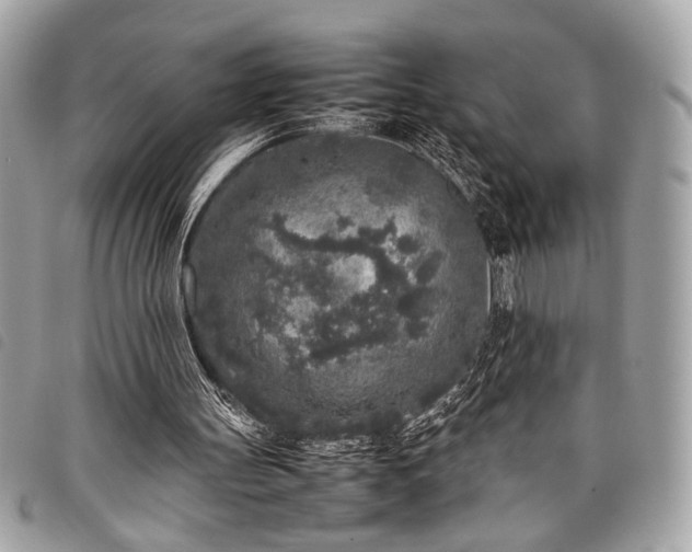 X0000098020147200804071402