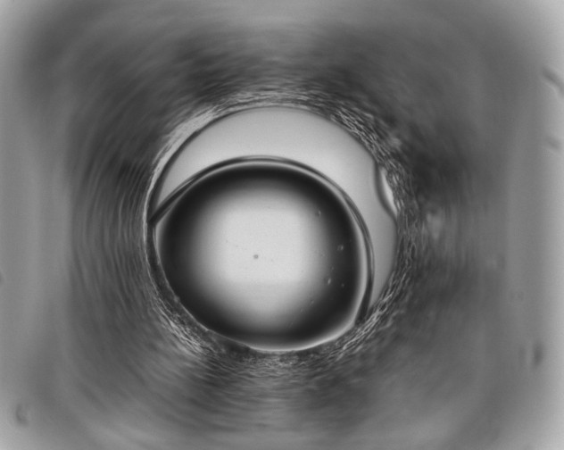 X0000098020148200804071402