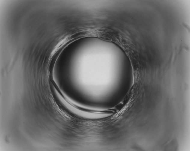 X0000098020150200804071402