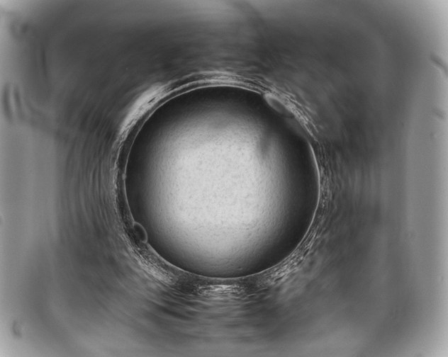 X0000098020151200804071402