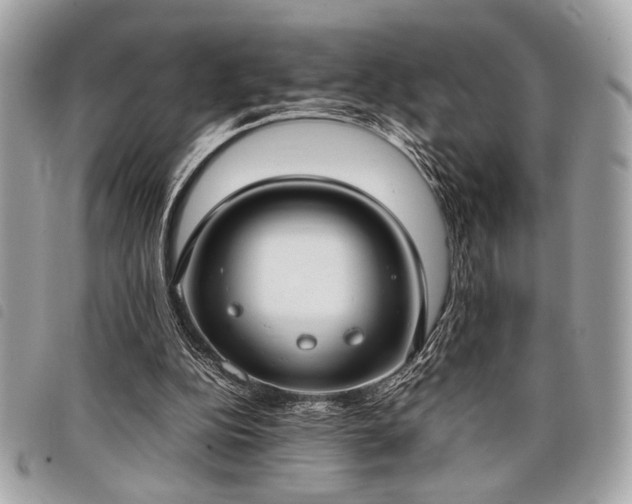 X0000098020152200804071402