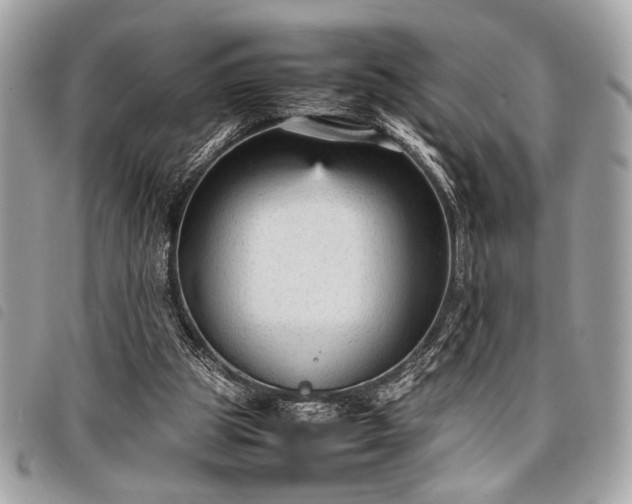 X0000098020153200804071402