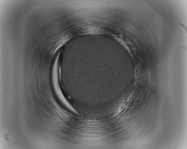 X0000098020154200804071402