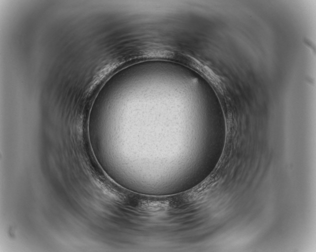 X0000098020155200804071402