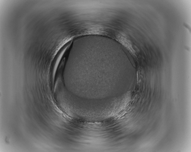 X0000098020156200804071402