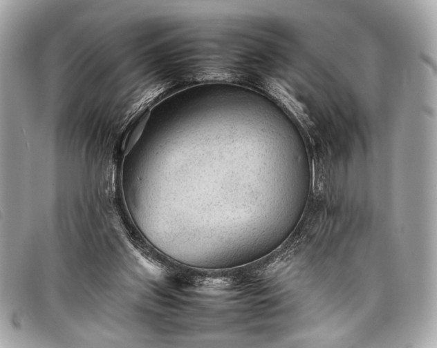 X0000098020157200804071402