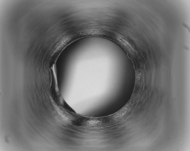 X0000098020158200804071402