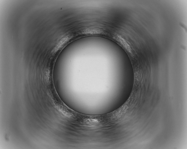 X0000098020159200804071402