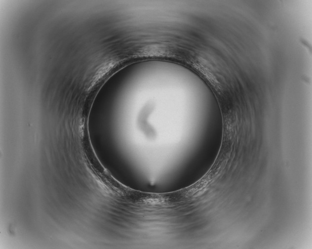 X0000098020160200804071402