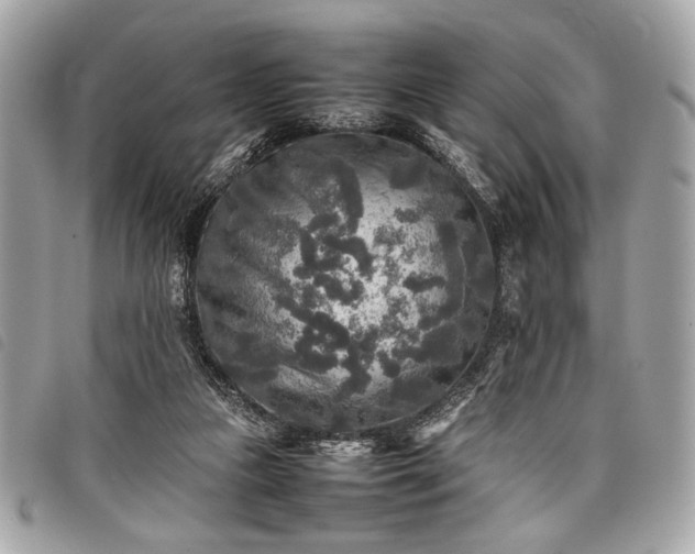 X0000098020161200804071402