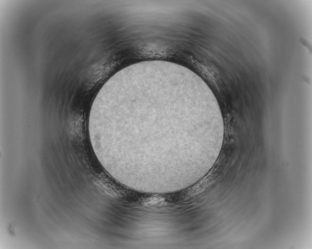 X0000098020162200804071402