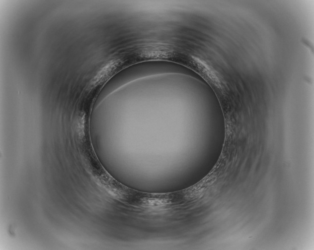 X0000098020163200804071402