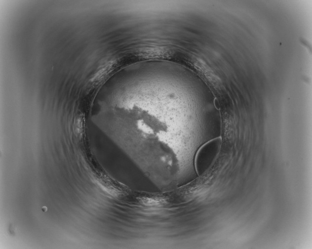 X0000098020165200804071402