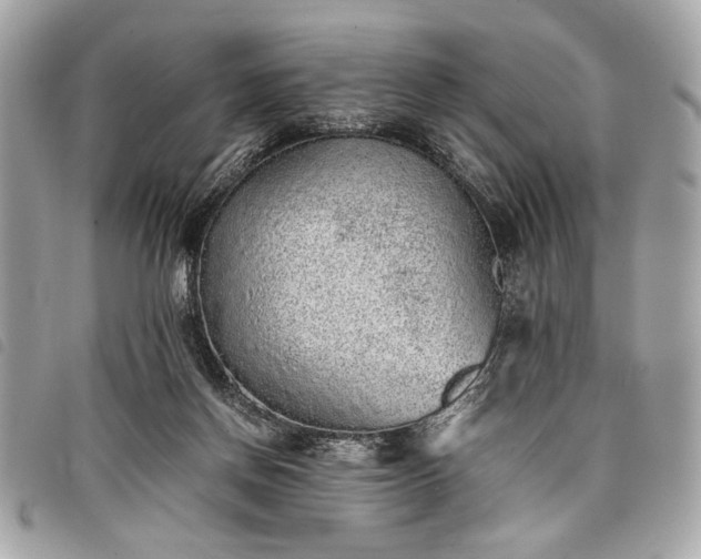 X0000098020166200804071402