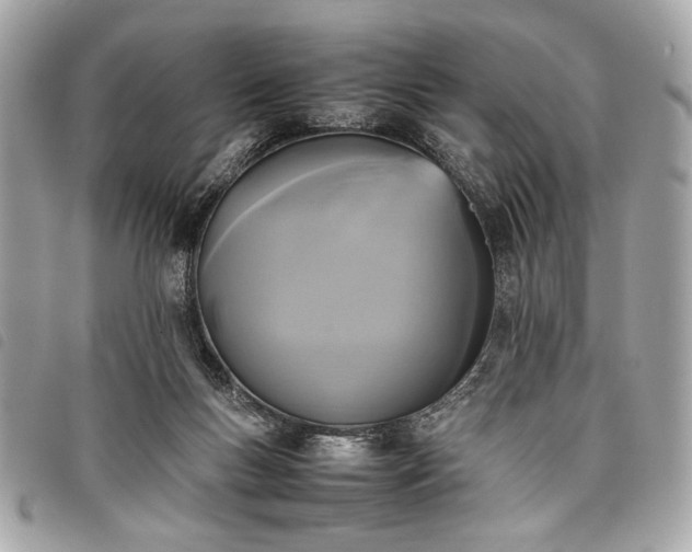 X0000098020167200804071402