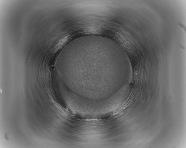 X0000098020168200804071402