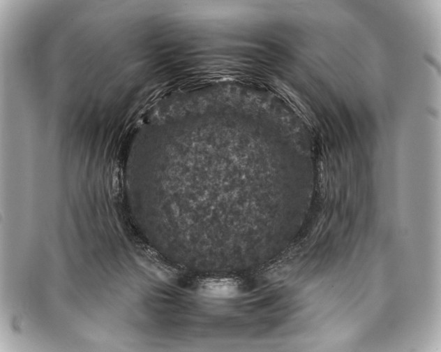 X0000098020169200804071402