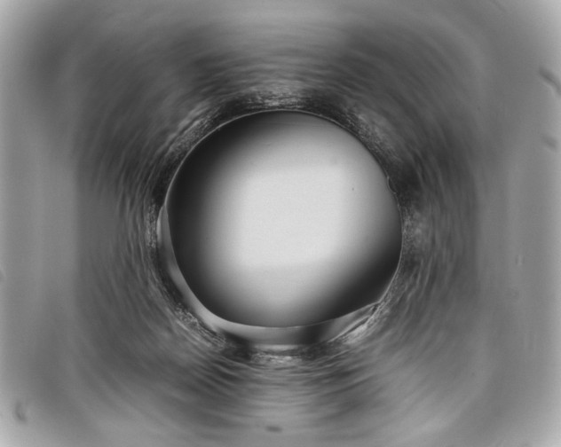 X0000098020170200804071402