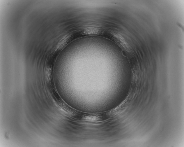 X0000098020171200804071402