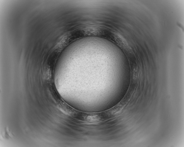 X0000098020173200804071402