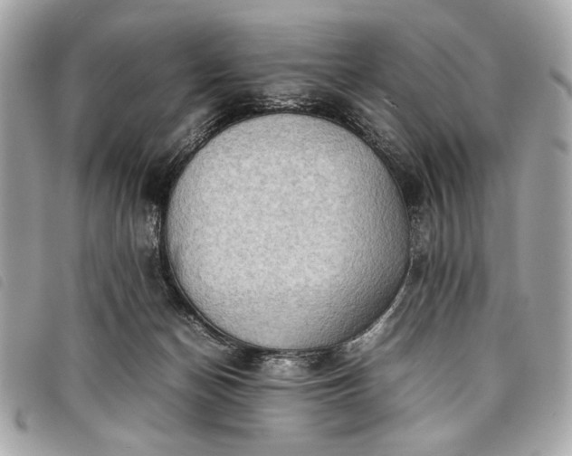 X0000098020174200804071402