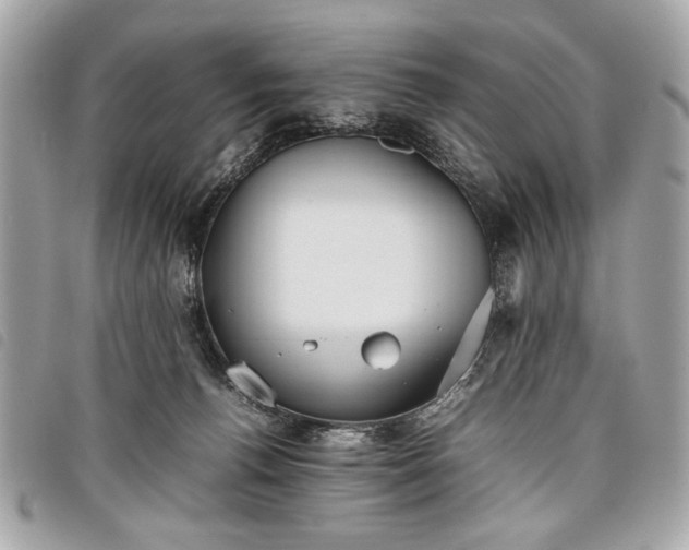 X0000098020176200804071402