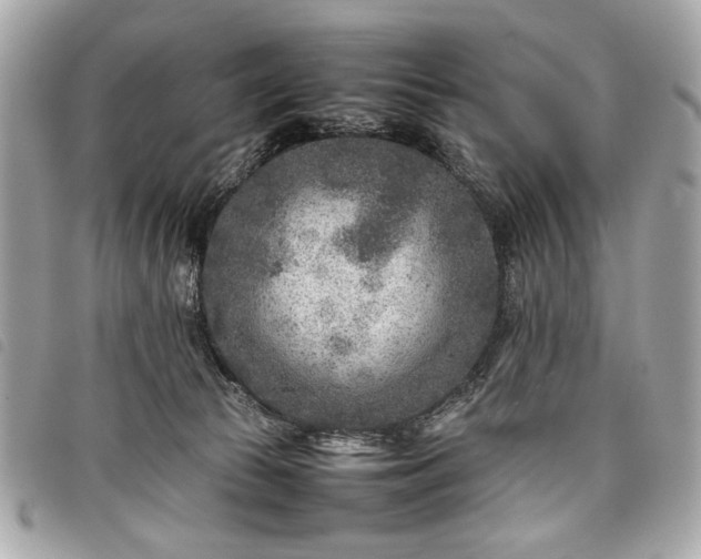 X0000098020177200804071402