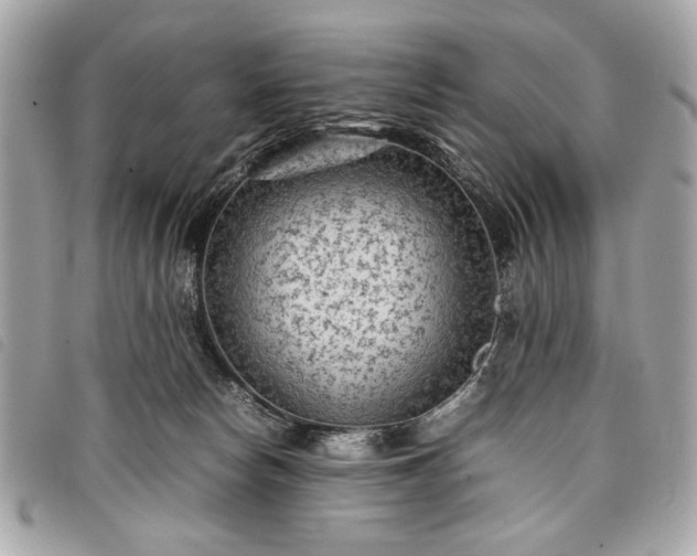 X0000098020178200804071402