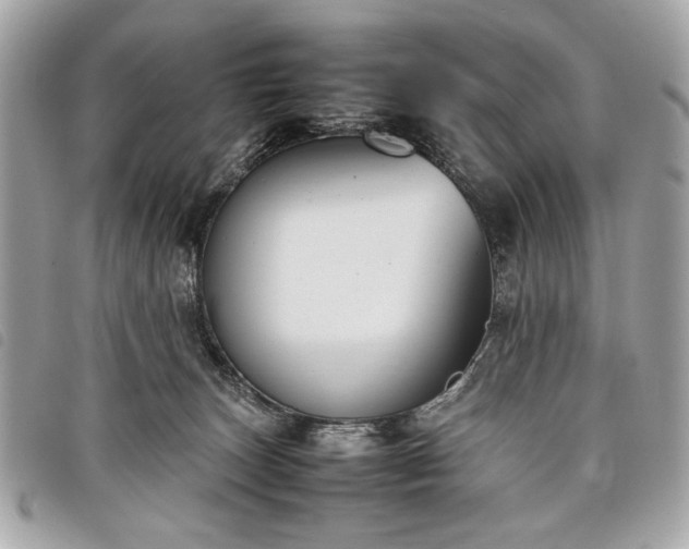 X0000098020179200804071402