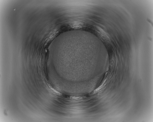 X0000098020180200804071402