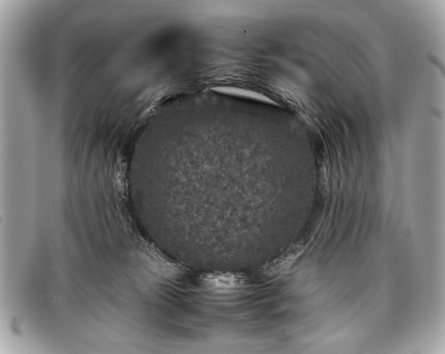 X0000098020181200804071402