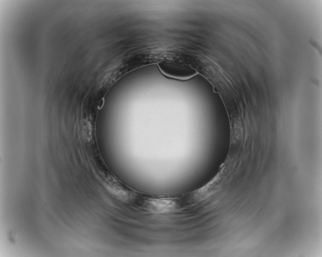 X0000098020183200804071402