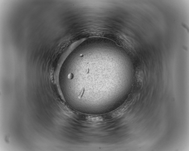 X0000098020185200804071402