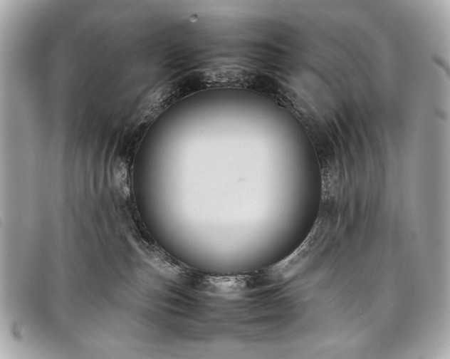 X0000098020187200804071402