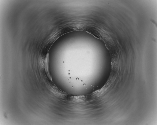 X0000098020188200804071402