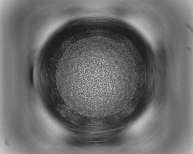 X0000098020189200804071402