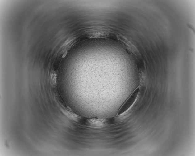 X0000098020191200804071402