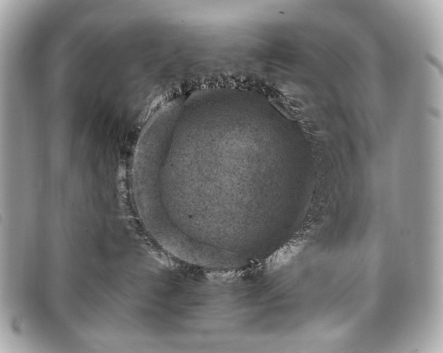 X0000098020192200804071402