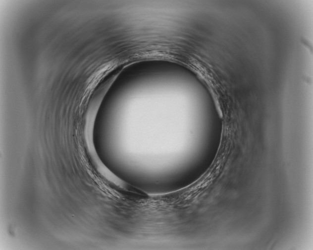 X0000098020193200804071402