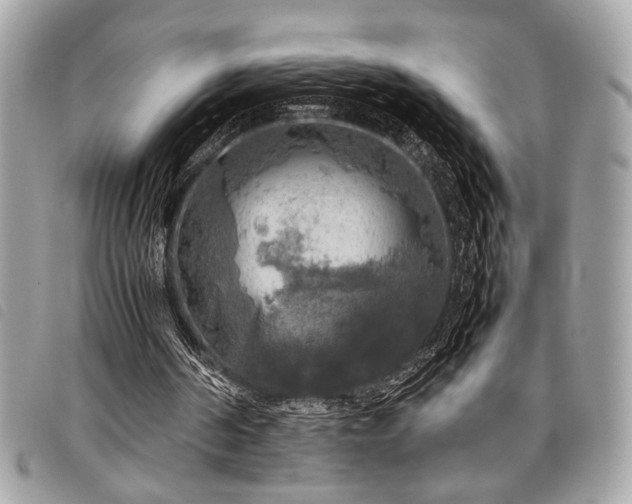 X0000098020194200804071402